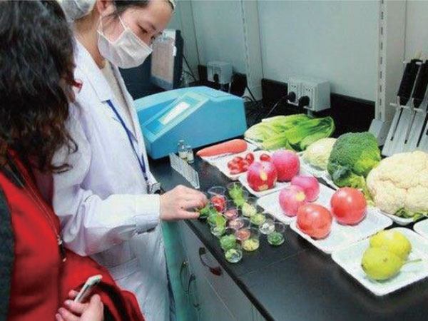 有機(jī)蔬菜配送：新鮮、健康、直送到家